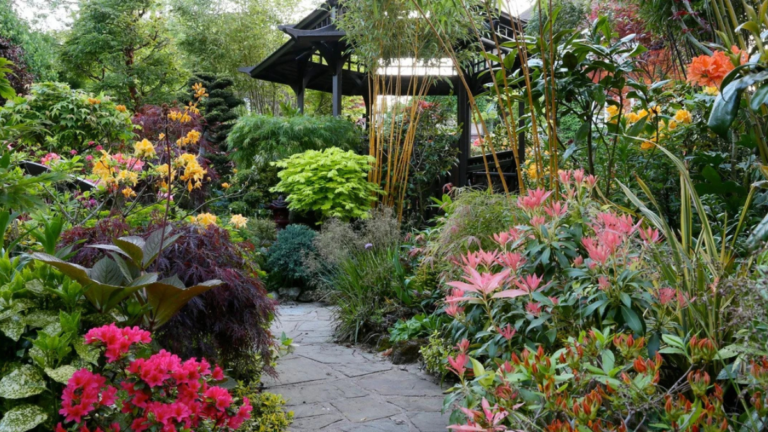 Best Garden Plants Guide