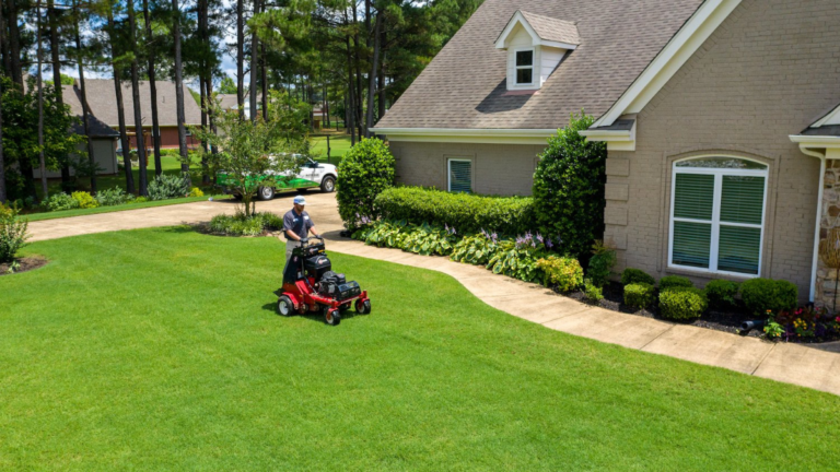 Essential Lawn Care Tips