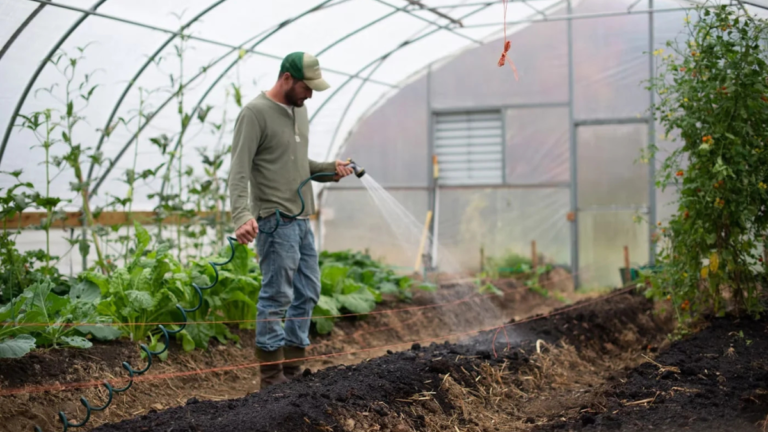 Garden Maintenance Checklist Guide